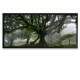 Quadro Decorativo Slim �rvore na Floresta