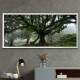 Quadro Decorativo Slim �rvore na Floresta