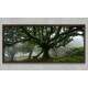 Quadro Decorativo Slim �rvore na Floresta