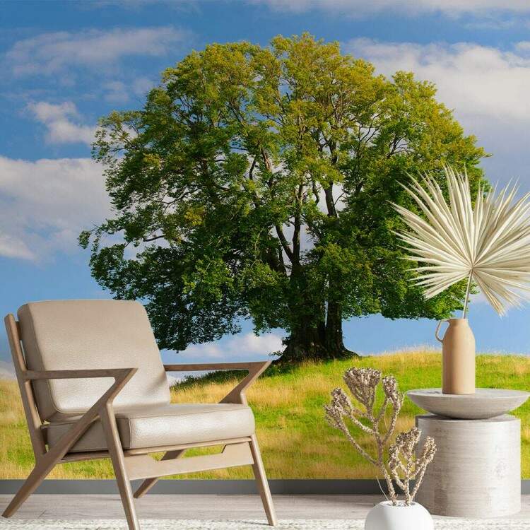 Papel de Parede Paisagem Pasto e rvore MP