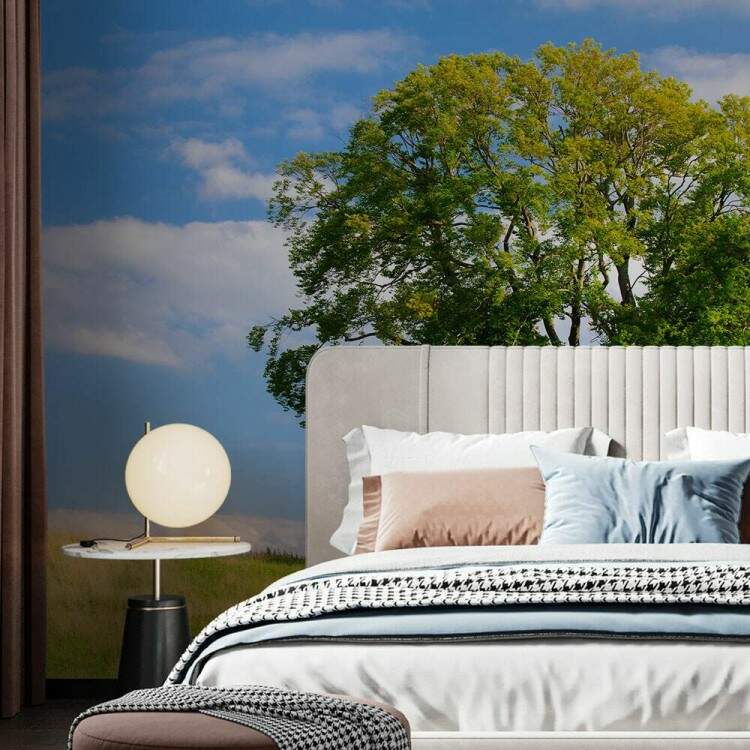 Papel de Parede Paisagem Pasto e rvore MP
