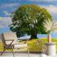 Papel de Parede Paisagem Pasto e �rvore MP