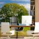 Papel de Parede Paisagem Pasto e �rvore MP