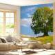 Papel de Parede Paisagem Pasto e �rvore MP