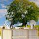 Papel de Parede Paisagem Pasto e �rvore MP