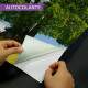Papel de Parede Paisagem Pasto e �rvore MP