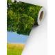 Papel de Parede Paisagem Pasto e �rvore MP