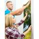 Papel de Parede Paisagem Pasto e �rvore MP