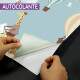 Papel de Parede Animaizinhos no C�u com Bal�es 3D