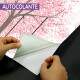 Papel de Parede �rvore Rosa e Ursinho MP