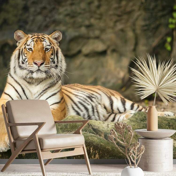 Papel de Parede Paisagem e Tigre MP