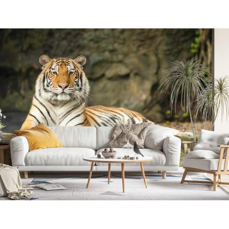 Papel de Parede Paisagem e Tigre MP