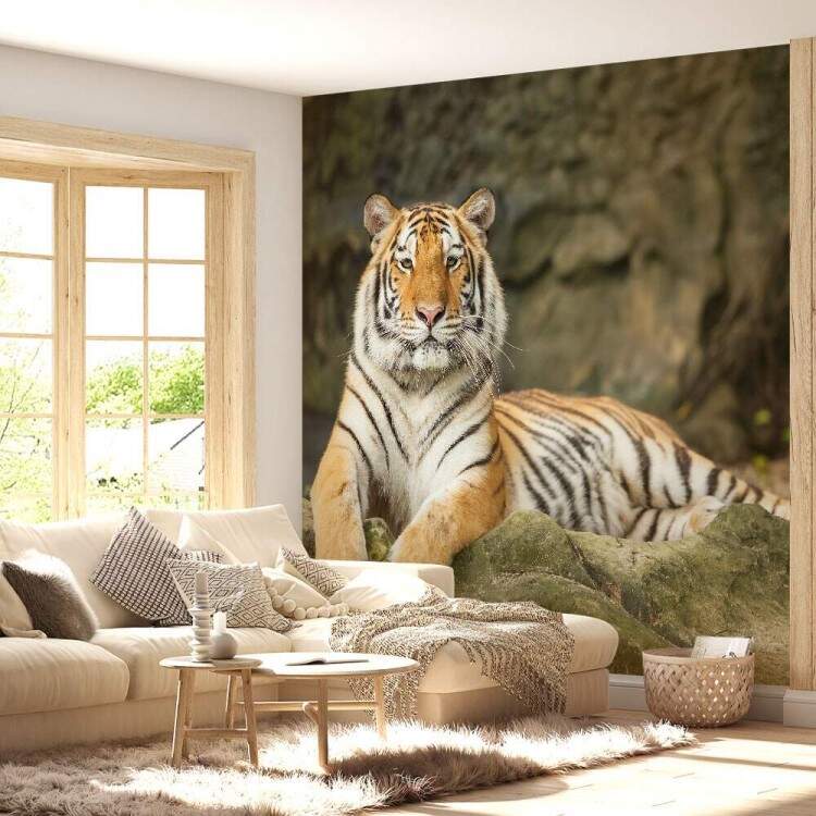 Papel de Parede Paisagem e Tigre MP