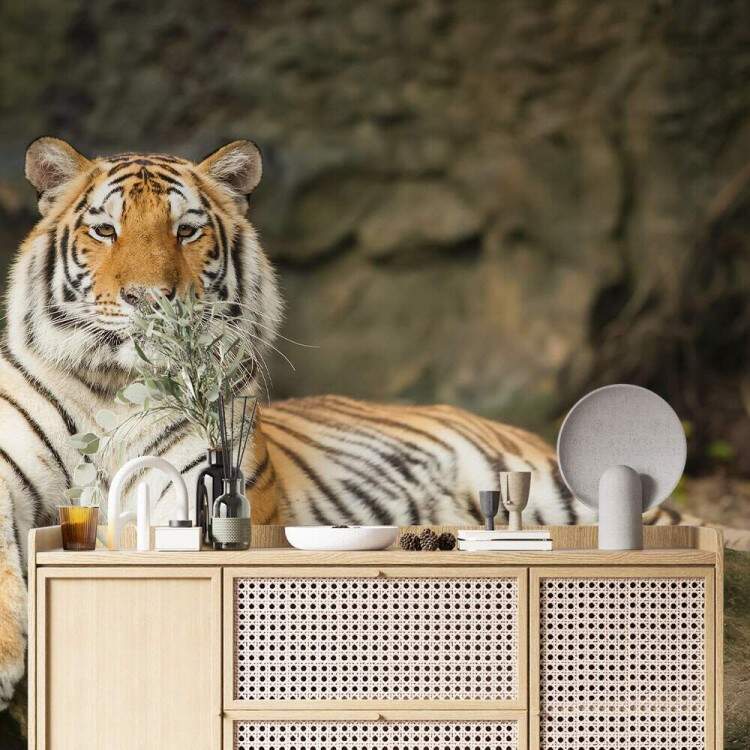 Papel de Parede Paisagem e Tigre MP