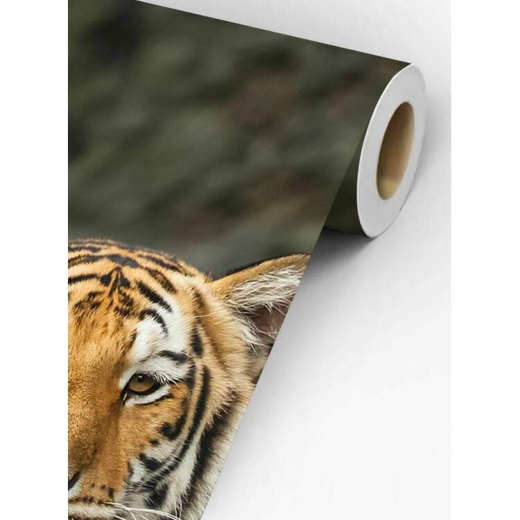 Papel de Parede Paisagem e Tigre MP