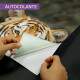 Papel de Parede Paisagem e Tigre MP