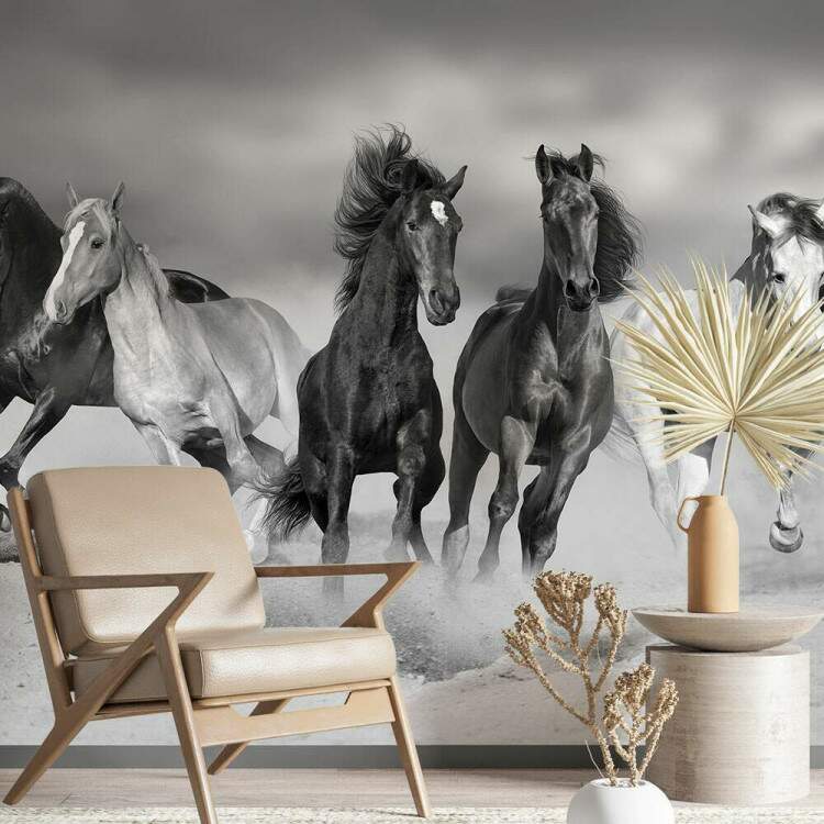 Papel de Parede Paisagem de Cavalos Preto e Branco MP