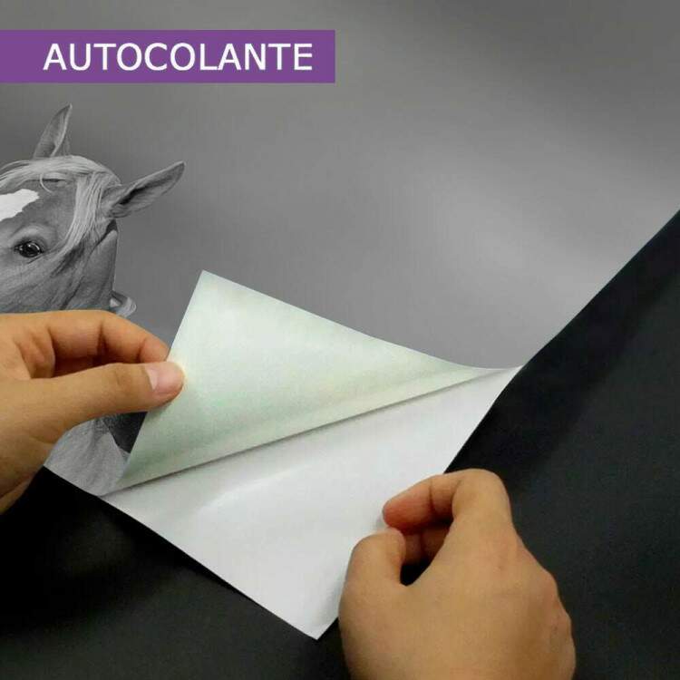 Papel de Parede Paisagem de Cavalos Preto e Branco MP