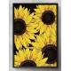 Quadro Decorativo Girassol Fundo Preto