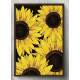 Quadro Decorativo Girassol Fundo Preto