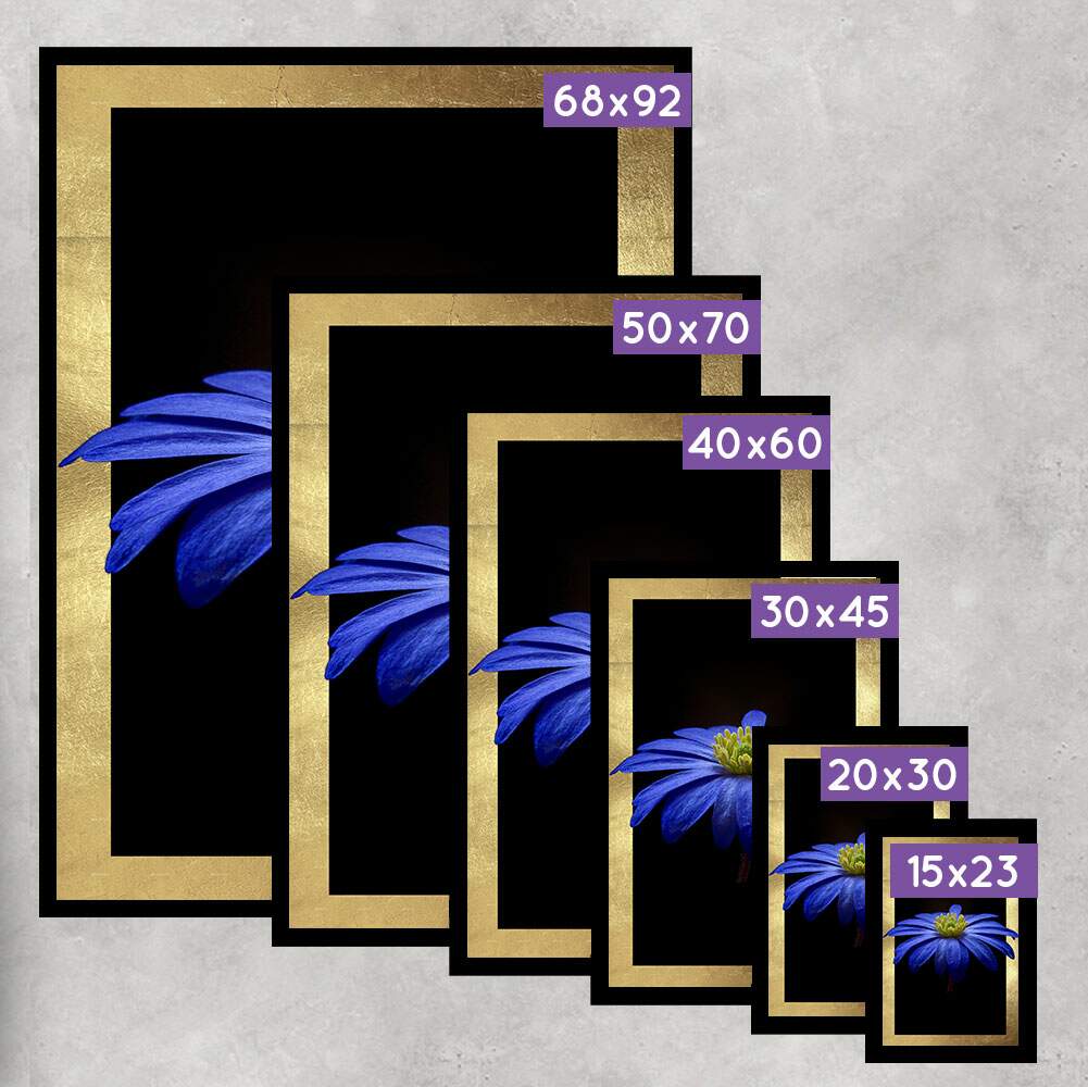 Quadro Decorativo Flor Azul Fundo Preto