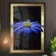 Quadro Decorativo Flor Azul Fundo Preto