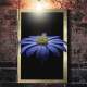 Quadro Decorativo Flor Azul Fundo Preto