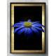 Quadro Decorativo Flor Azul Fundo Preto