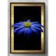 Quadro Decorativo Flor Azul Fundo Preto