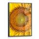 Quadro Decorativo Girassol