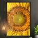 Quadro Decorativo Girassol