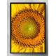 Quadro Decorativo Girassol