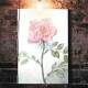 Quadro Decorativo Pintura em Aquarela de Rosa