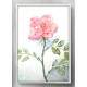 Quadro Decorativo Pintura em Aquarela de Rosa