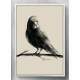 Quadro Decorativo Pintura de P�ssaro