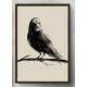 Quadro Decorativo Pintura de P�ssaro