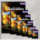 Quadro Decorativo para Pastelaria Os Melhores Salgados