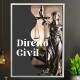 Quadro Decorativo para Direito Civil