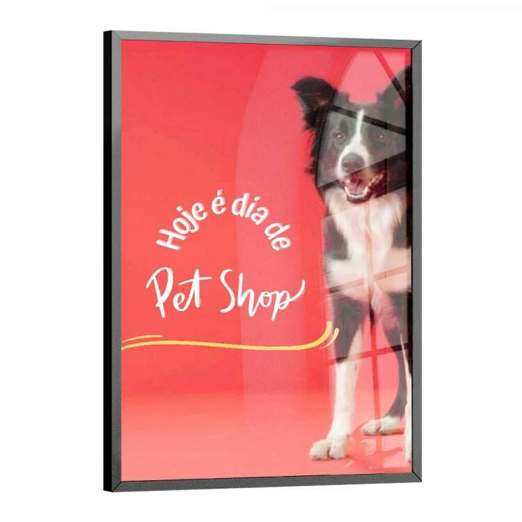 Quadro Decorativo para Pet Shop