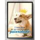 Quadro Decorativo para �rea Veterin�ria O Bem Estar Do Seu Pet � Nossa Prioridade