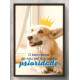Quadro Decorativo para �rea Veterin�ria O Bem Estar Do Seu Pet � Nossa Prioridade