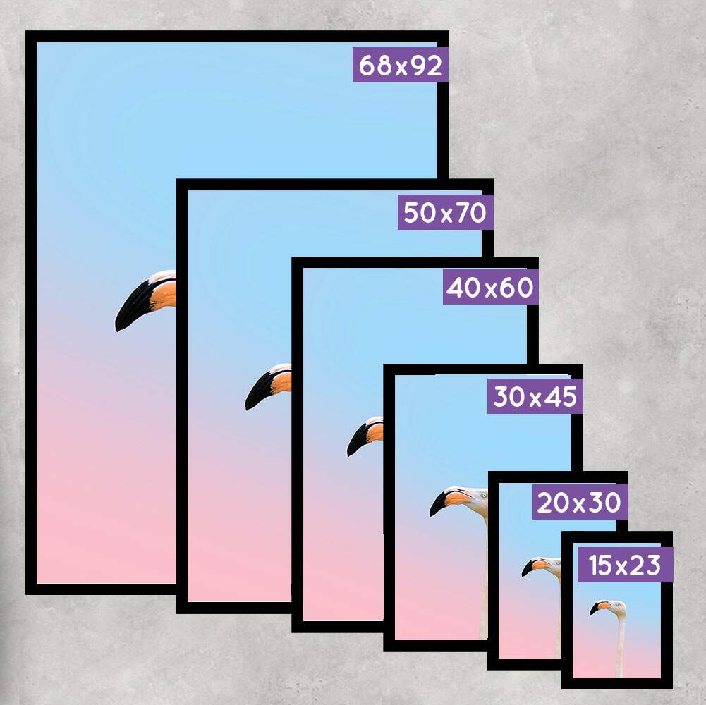 Quadro Decorativo Flamingo com Fundo Degrad�