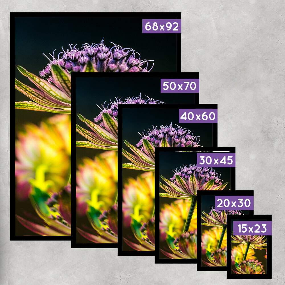 Quadro Decorativo Flor Amarela e Roxa