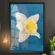 Quadro Decorativo Flor Branca com Fundo Azul