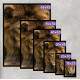 Quadro Decorativo Le�o