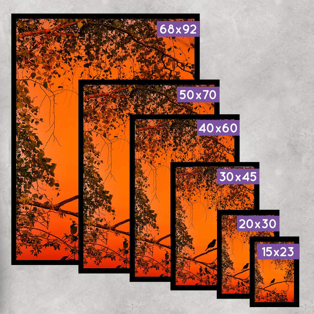 Quadro Decorativo Pass�ro em Galho Fundo Laranja