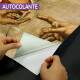 Papel de Parede Para Hamburgueria Refer�ncia do Michelangelo MP
