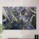 Quadro Decorativo �rea Urbana Sidney Austr�lia