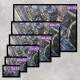 Quadro Decorativo �rea Urbana Sidney Austr�lia