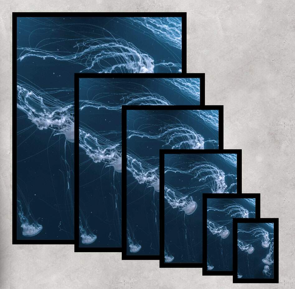 Quadro Decorativo �guas Vivas no Mar